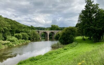 Gestion de l’eau : Les Monts d’Aunay bénéficie du plan de relance