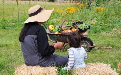 Tout‌ ‌quitter‌ ‌pour‌ ‌créer‌ ‌une‌ ‌micro-ferme‌ ‌de‌ ‌permaculture‌ ‌à‌ ‌Courson‌ ‌près‌ ‌de‌ ‌Vire‌